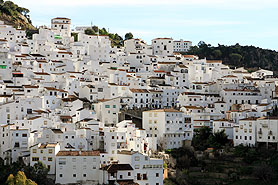 Casares