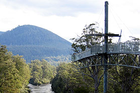 Tasmanien Tahune Forest Australien