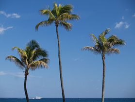 Miami, Florida