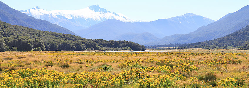 Erlebnisreise Neuseeland Nature