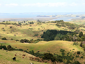 New Zealand