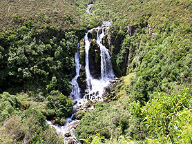 Wasserfall, New Zealand