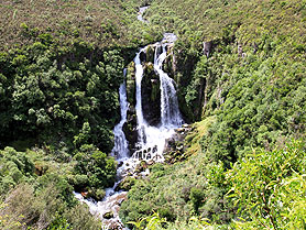 Waterfall, New Zealand