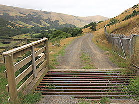 Neuseeland, Akaroa