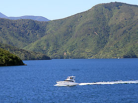 Neuseeland, Queen Charlotte Sound