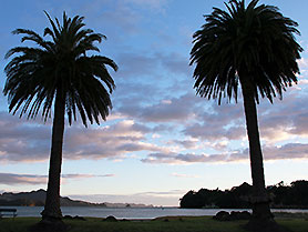 Neuseeland, Whitianga