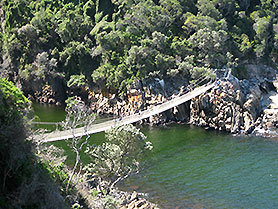 Tsitsikamma National Park, South Africa