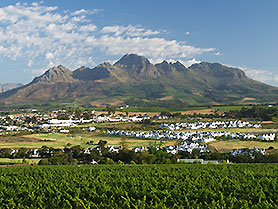 Oom Samie, Stellenbosch, South Africa