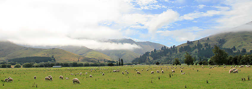 Erlebnisreise Neuseeland Südinsel