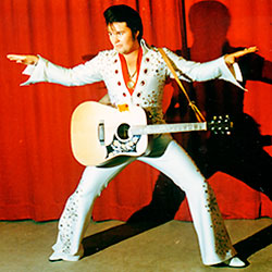 Rio - The Voice of Elvis