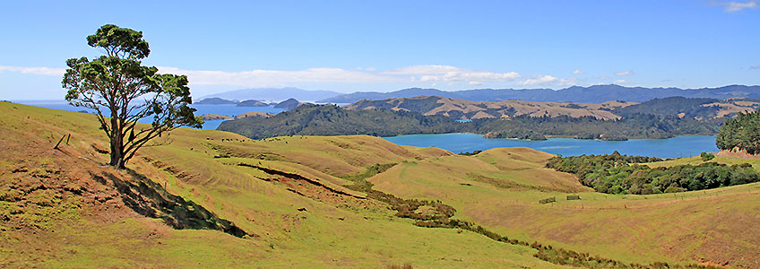 Coromandel Peninsula, New Zealand