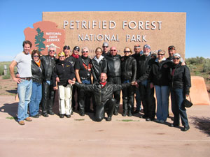 Painted Dessert and Petrified Forest