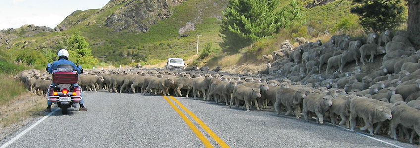 Neuseeland Motorradreisen mit Reuthers