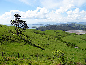 Coromandel Peninsula, New Zealand
