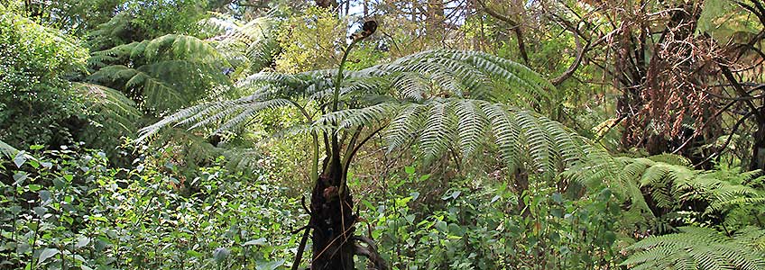 Photo Tours New Zealand Highlights