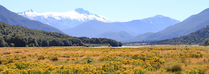 New Zealand