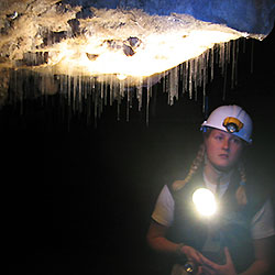 Waitomo Caves Glowworms