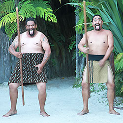 Maori Culture and Hangi Dinner at Tamaki Village in Rotorua