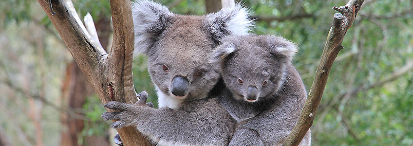 Fotoreisen Australien