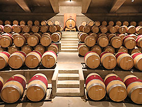Winery Santa Cruz, Chile
