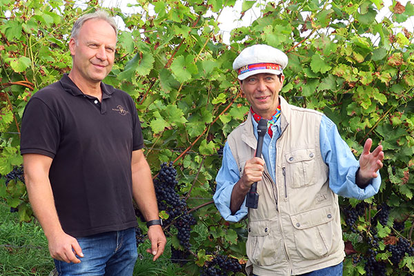 Teddy Herz in conversation with Matthias Hirn during the grape harvest in Untereisenheim