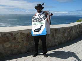 Whale Watching, Hermanus, South Africa