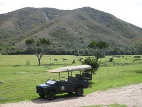 Buffalo Hill Wildlife Park, Knysna, Südafrika