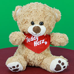 Teddy Herz Teddybär