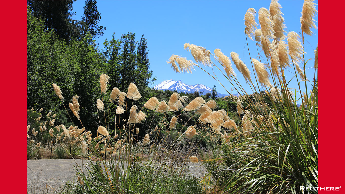 Kia Ora! New Zealand Highlights Photo Tour 4 March - 1 April 2023